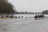 The Boat Race season 2018 - Women's Boat Race Trial Eights (OUWBC, Oxford): "Great Typhoon" and "Coursing River" near Chiswick Pier.
River Thames between Putney Bridge and Mortlake,
London SW15,

United Kingdom,
on 21 January 2018 at 14:40, image #143