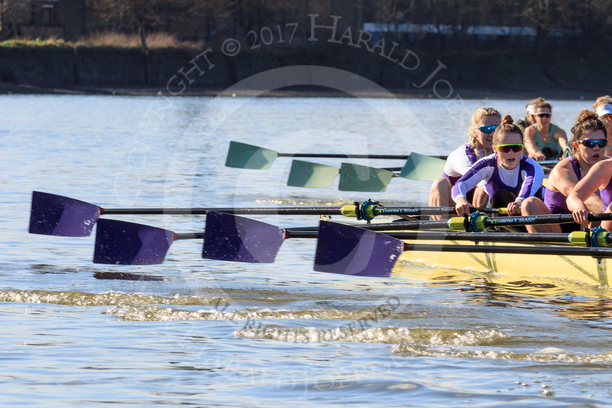 The Women's Boat Race season 2018 - fixture CUWBC vs. ULBC: CUWBC extending the lead over ULBC, in a "lots of oars" shot.
River Thames between Putney Bridge and Mortlake,
London SW15,

United Kingdom,
on 17 February 2018 at 13:32, image #149