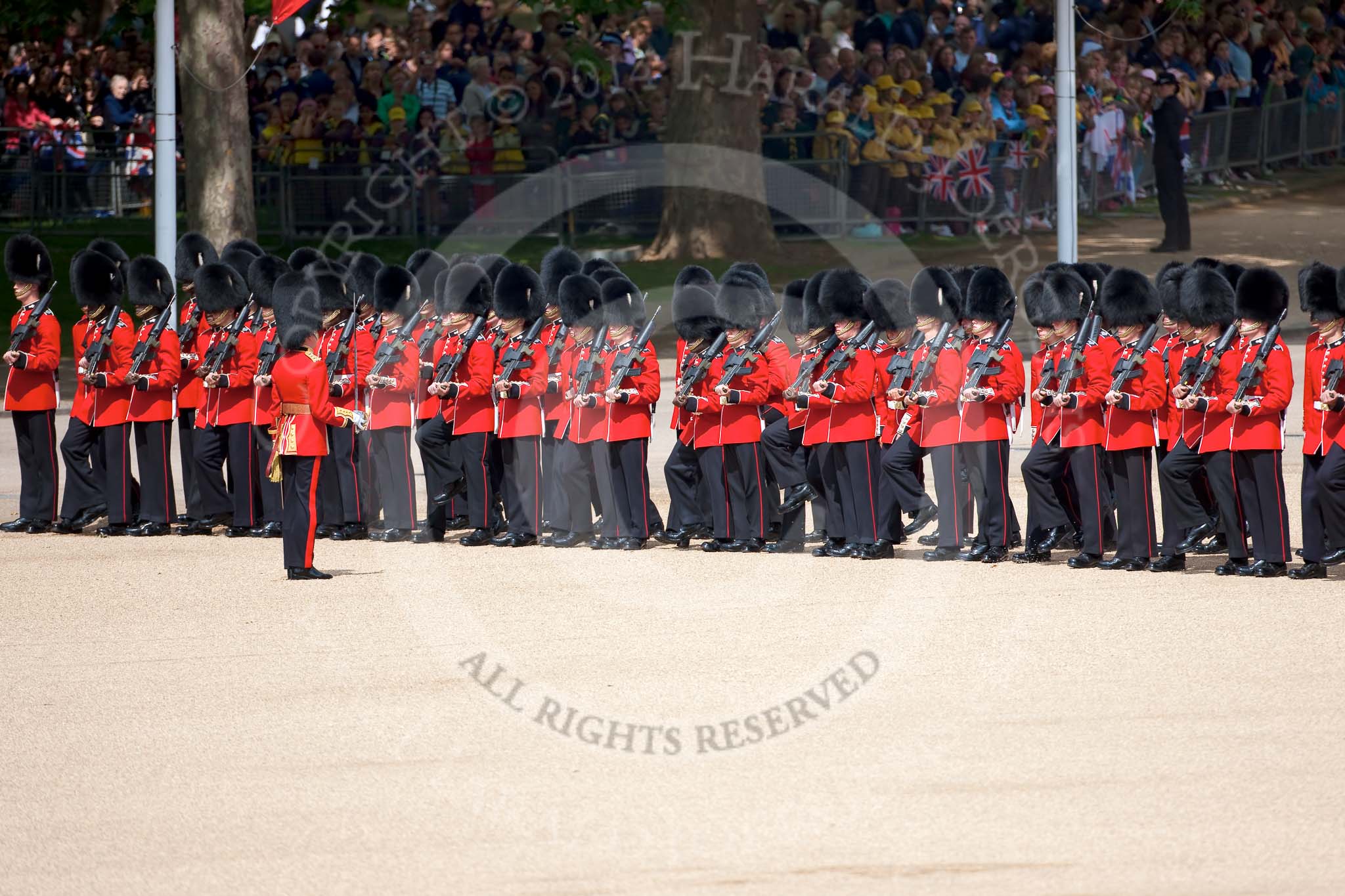 Trooping the Colour 2009: No. 5 Guard, Nijmegen Company Grenadier Guards, getting into position on Horse Guards Parade..
Horse Guards Parade, Westminster,
London SW1,

United Kingdom,
on 13 June 2009 at 10:26, image #49