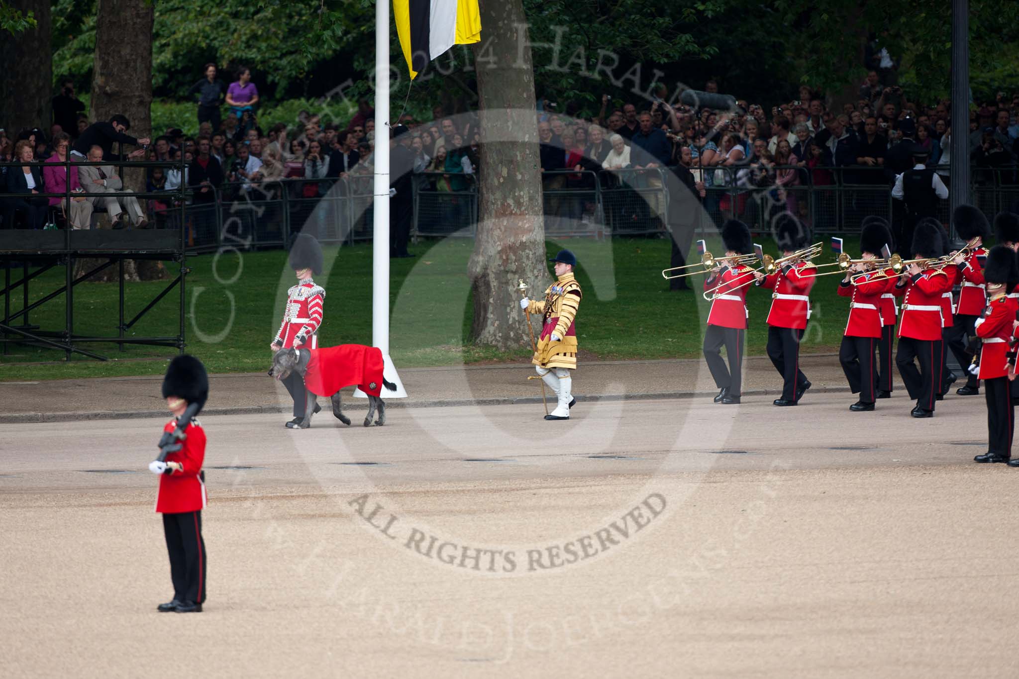 Trooping the Colour 2009: Drum Major C Patterson, Irish Guards, leading the Band of the Irish Guards down Horse Guards Parade..
Horse Guards Parade, Westminster,
London SW1,

United Kingdom,
on 13 June 2009 at 10:29, image #59
