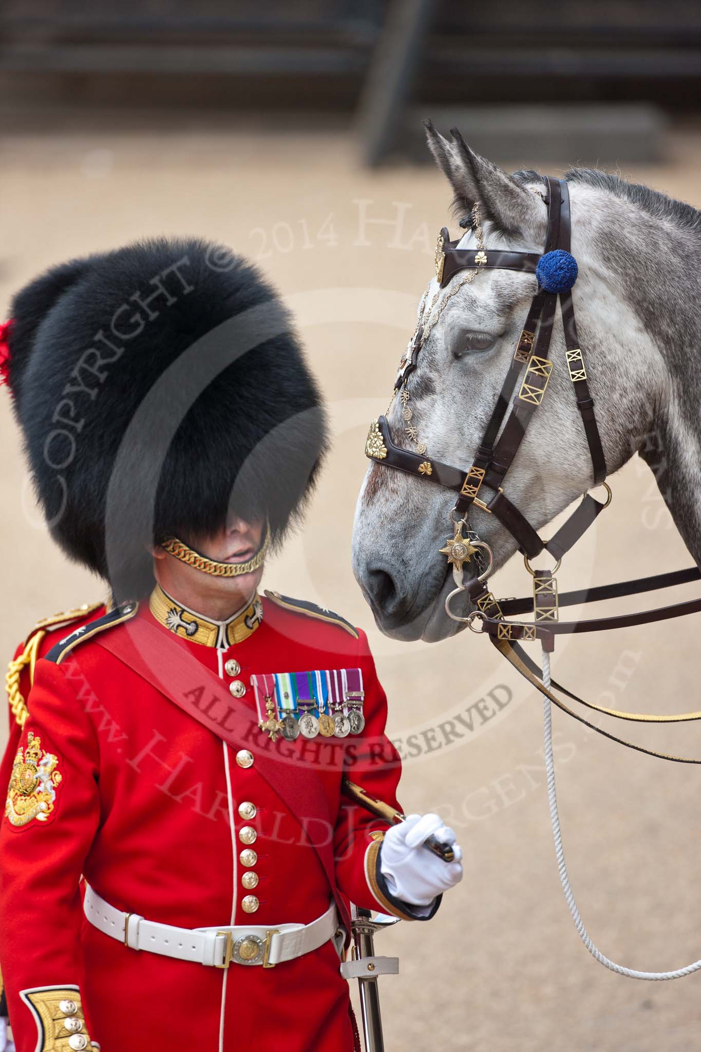 Trooping the Colour 2009: WO1 (GSM) W D G 'Billy' Mott OBE, Welsh Guards, behind him Wellesley, the horse ridden by the Field Officer..
Horse Guards Parade, Westminster,
London SW1,

United Kingdom,
on 13 June 2009 at 10:37, image #70