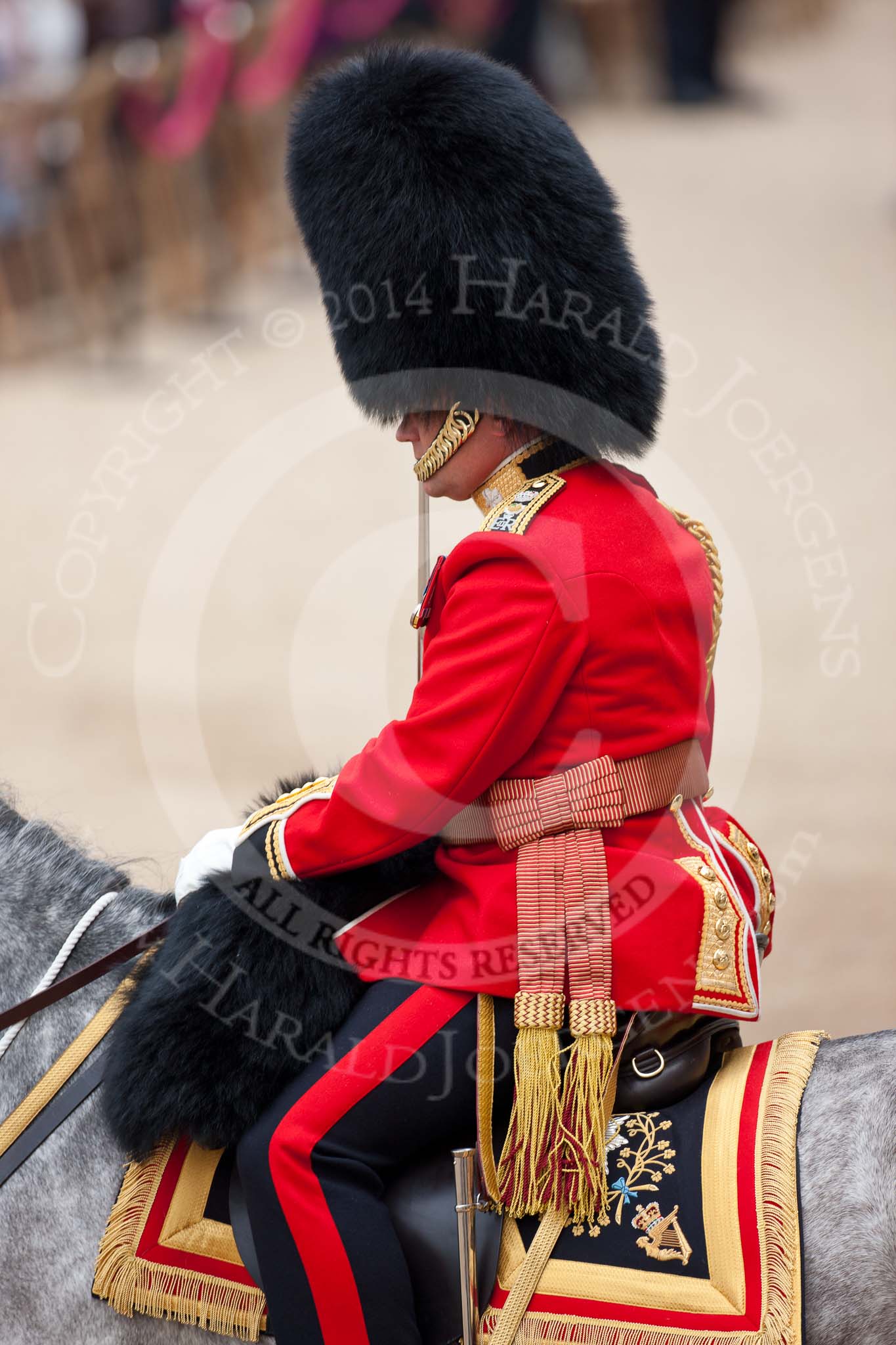 Trooping the Colour 2009: The Field Officer in Brigade Waiting, Lieutenant Colonel B C Farrell, Irish Guards, about to ride onto the parade ground, on 'Wellesley'..
Horse Guards Parade, Westminster,
London SW1,

United Kingdom,
on 13 June 2009 at 10:40, image #76