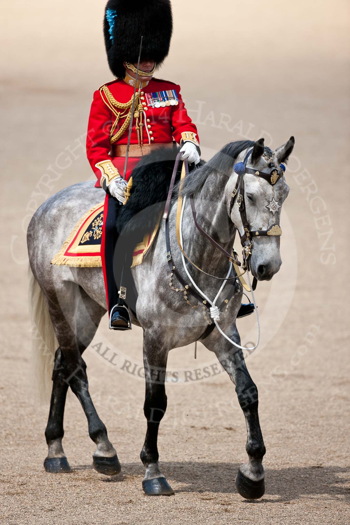 Trooping the Colour 2009: The Field Officer, Lieutenant Colonel Ben Farrell, on 'Wellesley', about to ask HM The Queen for permission to march off..
Horse Guards Parade, Westminster,
London SW1,

United Kingdom,
on 13 June 2009 at 12:09, image #251