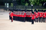 Trooping the Colour 2009: No. 3 Guard, 1st Battalion Irish Guards has opened ranks to give way for the Royal Procession..
Horse Guards Parade, Westminster,
London SW1,

United Kingdom,
on 13 June 2009 at 10:43, image #83