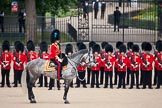 Trooping the Colour 2009: The Field Officer in Brigade Waiting, Lieutenant Colonel B C Farrell, Irish Guards, on 'Wellesley'., in front of No. 4 Guard. In the background the gate of St. James's Park..
Horse Guards Parade, Westminster,
London SW1,

United Kingdom,
on 13 June 2009 at 10:45, image #87