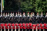 Trooping the Colour 2009: No. 4 Guard presenting arms, behind The Blues and Royals in front of St. James's Park..
Horse Guards Parade, Westminster,
London SW1,

United Kingdom,
on 13 June 2009 at 11:08, image #160