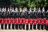 Trooping the Colour 2009: No. 4 Guard, 1st Battalion Irish Guards, behind The Blues and Royals in front of St. James's Park..
Horse Guards Parade, Westminster,
London SW1,

United Kingdom,
on 13 June 2009 at 11:08, image #161