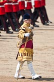 Trooping the Colour 2009: Drum Major Stephen Staite, Grenadier Guards..
Horse Guards Parade, Westminster,
London SW1,

United Kingdom,
on 13 June 2009 at 11:09, image #165