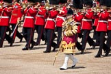 Trooping the Colour 2009: Drum Major Stephen Staite, Grenadier Guards, behind him the Band of the Scots Guards..
Horse Guards Parade, Westminster,
London SW1,

United Kingdom,
on 13 June 2009 at 11:11, image #168