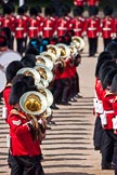 Trooping the Colour 2009: The Massed Bands playing, here a row of euphonists..
Horse Guards Parade, Westminster,
London SW1,

United Kingdom,
on 13 June 2009 at 11:13, image #172