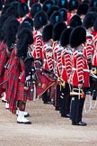Trooping the Colour 2009: The Massed Bands, here the Drummers and Scots Guard Pipers. On the very left Pipe Major Brian Heriot..
Horse Guards Parade, Westminster,
London SW1,

United Kingdom,
on 13 June 2009 at 11:15, image #173