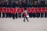 Trooping the Colour 2009: The Lone Drummer. Lance Corporal John Smiley, is breaking the line to perform the Drummers Call. Behind, with the white colour belt, the Ensign, 2nd Lieutenant Andrew Campbell..
Horse Guards Parade, Westminster,
London SW1,

United Kingdom,
on 13 June 2009 at 11:15, image #174