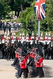 Trooping the Colour 2009: The March Past - guardsmen marching along the line of Life Guards, Household Cavalry, on the St. James's Park side of Horse Guards Parade..
Horse Guards Parade, Westminster,
London SW1,

United Kingdom,
on 13 June 2009 at 11:32, image #203