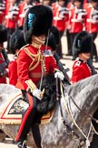 Trooping the Colour 2009: The Field Officer, Lieutenant Colonel Ben Farrell, Irish Guards, riding 'Wellesley'..
Horse Guards Parade, Westminster,
London SW1,

United Kingdom,
on 13 June 2009 at 11:35, image #206