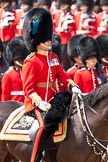 Trooping the Colour 2009: The Major of the Parade, Major F A D L Roberts, Irish Guards..
Horse Guards Parade, Westminster,
London SW1,

United Kingdom,
on 13 June 2009 at 11:35, image #207