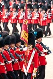 Trooping the Colour 2009: The Ensign, 2nd Lieutenant Andrew Campbell, from County Tipparary in Ireland, carrying the Colour in his colour belt..
Horse Guards Parade, Westminster,
London SW1,

United Kingdom,
on 13 June 2009 at 11:36, image #208