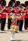 Trooping the Colour 2009: Drum Major C Patterson, Irish Guards..
Horse Guards Parade, Westminster,
London SW1,

United Kingdom,
on 13 June 2009 at 11:37, image #210