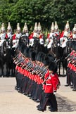 Trooping the Colour 2009: The March Past - No. 6 Guard, F Company Scots Guards, marching in front of The Life Guards..
Horse Guards Parade, Westminster,
London SW1,

United Kingdom,
on 13 June 2009 at 11:44, image #216