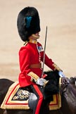Trooping the Colour 2009: Close-up of the Major of the Parade, Major F A D L Roberts, Irish Guards..
Horse Guards Parade, Westminster,
London SW1,

United Kingdom,
on 13 June 2009 at 11:45, image #218