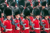 Trooping the Colour 2009: The March Past - Irish Guards about to march past Her Majesty..
Horse Guards Parade, Westminster,
London SW1,

United Kingdom,
on 13 June 2009 at 11:46, image #219