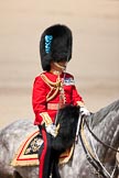 Trooping the Colour 2009: The Field Officer, Lieutenant Colonel Ben Farrell, has got permission from HM The Queen to march off..
Horse Guards Parade, Westminster,
London SW1,

United Kingdom,
on 13 June 2009 at 12:09, image #252