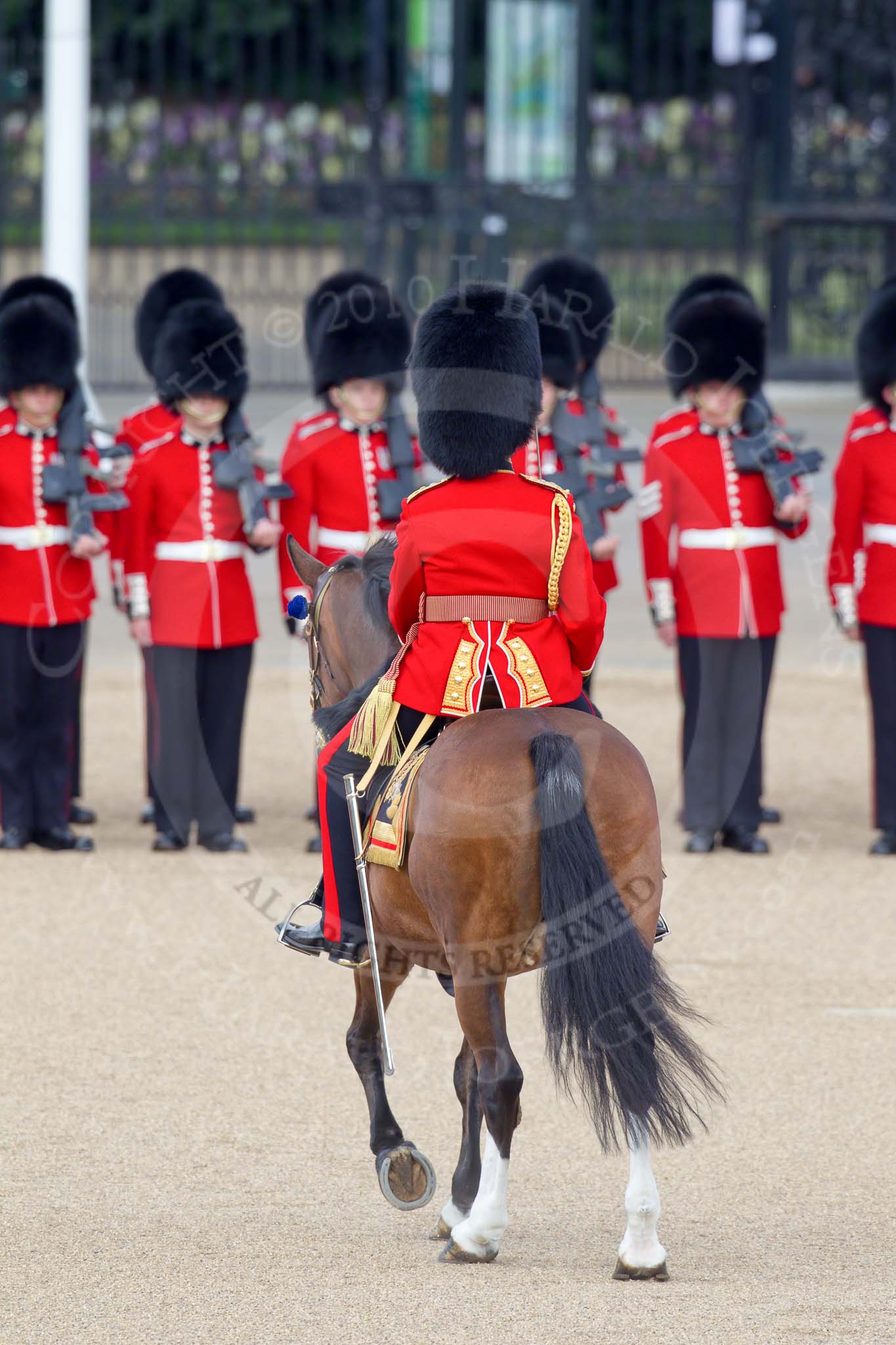 Trooping the Colour 2010: Lieutenant Colonel C R V Walker, Grenadier Guards, Field Officer in Brigade Waiting, and &quot;boss&quot; of the whole parade.

He is riding Burniston, a brown mare from the Household Division Stables.

In the background St. James's Park at the western end of the parade ground..
Horse Guards Parade, Westminster,
London SW1,
Greater London,
United Kingdom,
on 12 June 2010 at 10:42, image #27