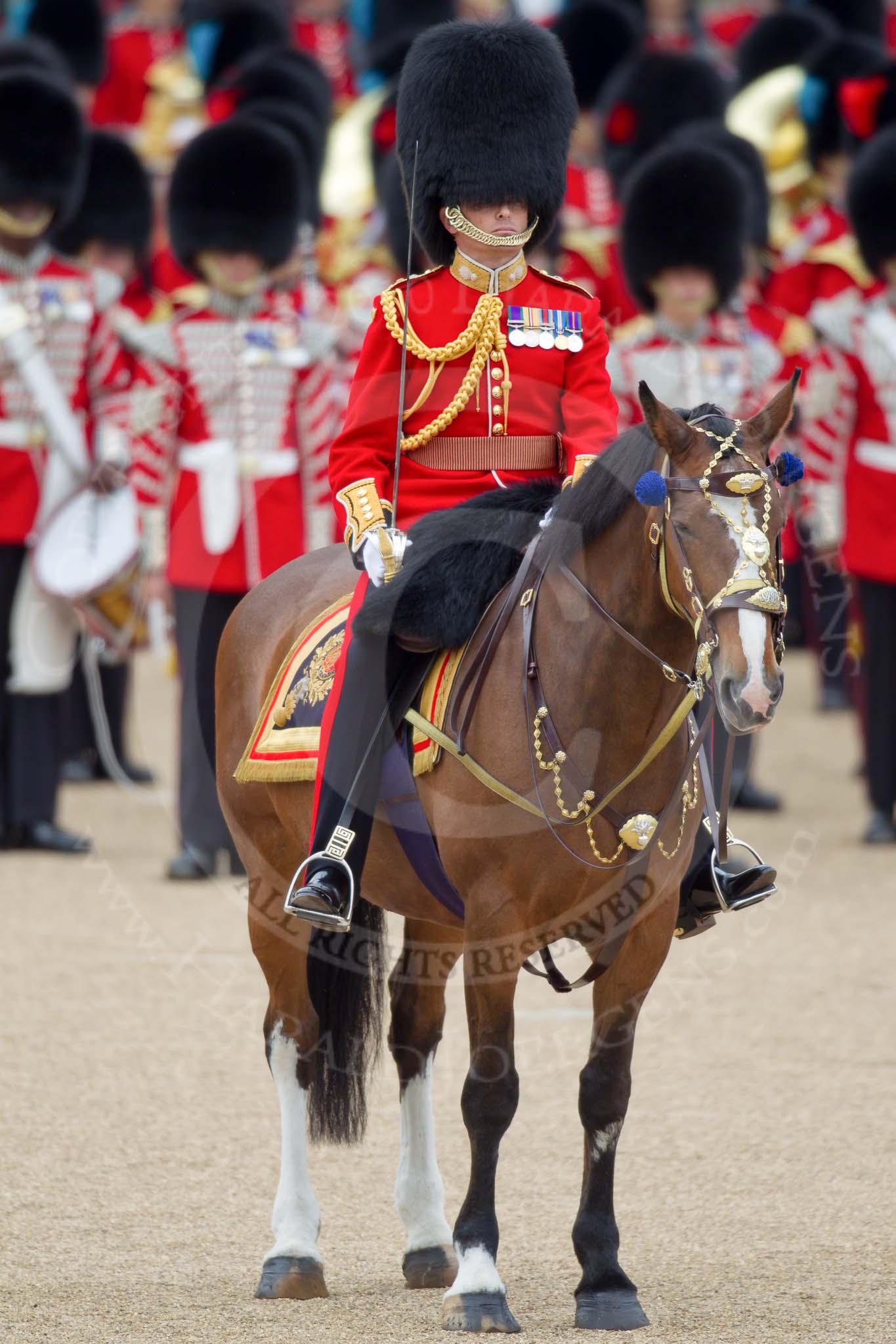 Trooping the Colour 2010: Lt Col C R V Walker, Grenadier Guards, Field Officer in Brigade Waiting and in command of the parade..
Horse Guards Parade, Westminster,
London SW1,
Greater London,
United Kingdom,
on 12 June 2010 at 11:20, image #121