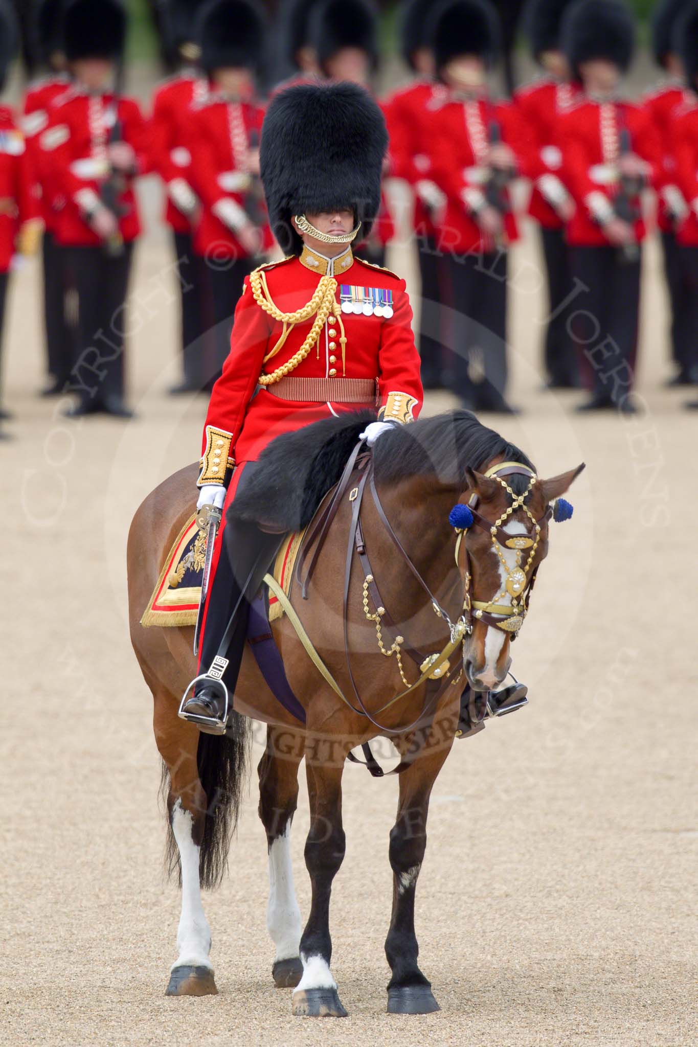 Trooping the Colour 2010: Lt Col C R V Walker, Grenadier Guards, Field Officer in Brigade Waiting and in command of the parade..
Horse Guards Parade, Westminster,
London SW1,
Greater London,
United Kingdom,
on 12 June 2010 at 11:25, image #126