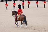 Trooping the Colour 2010: Lieutenant Colonel C R V Walker, Field Officer in Brigade Waiting, and Commanding Officer of the parade, inspecting the line og guardsmen..
Horse Guards Parade, Westminster,
London SW1,
Greater London,
United Kingdom,
on 12 June 2010 at 10:41, image #26