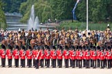 Trooping the Colour 2010: No. 1 Guard, the "Escort for the Colour", 1st Battalion Grenadier Guards, standing in front of The King's Troop Royal Horse Artillery.

Behind them St. James's Park, with a lake and a fountain, and lots of spectators watching the parade.

The flag is one of 63 flags representing the Commonwealth Countries..
Horse Guards Parade, Westminster,
London SW1,
Greater London,
United Kingdom,
on 12 June 2010 at 10:52, image #43