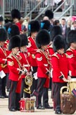 Trooping the Colour 2010: Musicians of the Welsh Guards Band getting ready for the start of the parade. They have taken position at the south side of the parade ground. Behind them, spectators in the inner line of sentries, to their left, with blue plumes in their bearskins, members of the Irish Guards Band..
Horse Guards Parade, Westminster,
London SW1,
Greater London,
United Kingdom,
on 12 June 2010 at 10:22, image #8