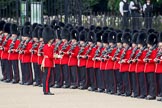 Trooping the Colour 2010: Guardsmen of No. 4 Guard, Nijmegen Company, Grenadier Guards, with their Captain, in front of St. James's Park on the western side of the parade ground..
Horse Guards Parade, Westminster,
London SW1,
Greater London,
United Kingdom,
on 12 June 2010 at 10:28, image #13