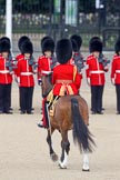 Trooping the Colour 2010: Lieutenant Colonel C R V Walker, Grenadier Guards, Field Officer in Brigade Waiting, and "boss" of the whole parade.

He is riding Burniston, a brown mare from the Household Division Stables.

In the background St. James's Park at the western end of the parade ground..
Horse Guards Parade, Westminster,
London SW1,
Greater London,
United Kingdom,
on 12 June 2010 at 10:42, image #27