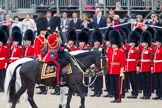 The Royal Colonels inspecting the line, here No. 6 Guard, No. 7 Company Coldstream Guards.

In Front Charles, The Prince of Wales, then Prince Edward, The Duke of Kent, behind him Anne, The Princess Royal.

In the background spectators on the Inner Line of Sentries and on a stand above in front of the Old Admiralty Building on the eastern side of Horse Guards Parade.: The Royal Colonels inspecting the line. "Trooping the Colour" 2010.
Horse Guards Parade, Westminster,
London SW1,
Greater London,
United Kingdom,
on 12 June 2010 at 11:04, image #82