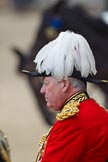 Trooping the Colour 2010: Master of the Horse - The Lord Vestey. Samuel George Armstrong Vestey, the third Baron Vestey, is the Master of the Horse of the Royal Household. He, born 1941, is a British businessman (Vestey Group) and former politician..
Horse Guards Parade, Westminster,
London SW1,
Greater London,
United Kingdom,
on 12 June 2010 at 11:08, image #99