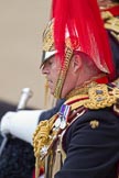Trooping the Colour 2010: Colonel T W Browne, The Blues and Royals, Silver Stick in Waiting. Lots o detail.

Horse Guards Parade is beautifully reflected in the rear shield of his uniform (please correct me if "rear shield" is the wrong phrase!)..
Horse Guards Parade, Westminster,
London SW1,
Greater London,
United Kingdom,
on 12 June 2010 at 11:08, image #100