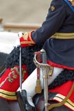 Trooping the Colour 2010: Colonel T W Browne, The Blues and Royals, Silver Stick in Waiting. The photo only frames saddle, Silver Stick, sword, and uniform, and a staggering amount of detail, when watched at full resolution!

Horse Guards Parade is beautifully reflected in the rear shield of his uniform (please correct me if "rear shield" is the wrong phrase!)..
Horse Guards Parade, Westminster,
London SW1,
Greater London,
United Kingdom,
on 12 June 2010 at 11:09, image #101