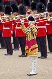 Trooping the Colour 2010: Drum Major Grenadier Guards  during the "Massed Bands Troop"..
Horse Guards Parade, Westminster,
London SW1,
Greater London,
United Kingdom,
on 12 June 2010 at 11:12, image #110