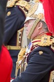 Trooping the Colour 2010: Colonel T W Browne, The Blues and Royals, Silver Stick in Waiting. Lots of detail in this photo.

Horse Guards Parade is beautifully reflected in the rear shield of his uniform (please correct me if "rear shield" is the wrong phrase!)..
Horse Guards Parade, Westminster,
London SW1,
Greater London,
United Kingdom,
on 12 June 2010 at 11:16, image #119