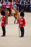 Trooping the Colour 2010: Colour Sergeant Stephen Ross, who was awarded the Military Cross in 2006, with the just uncased Colour.

In the background spectators at the inner line of sentries in front of the Old Admirality Building..
Horse Guards Parade, Westminster,
London SW1,
Greater London,
United Kingdom,
on 12 June 2010 at 11:18, image #120