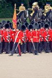 Trooping the Colour 2010: The Ensign to the Colour, 2nd Lieutenant James Brown, 1st Battalion Grenadier Guards, has just received the regimental flag. The real "trooping" of the Colour is about to begin..
Horse Guards Parade, Westminster,
London SW1,
Greater London,
United Kingdom,
on 12 June 2010 at 11:26, image #129