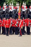 Trooping the Colour 2010: The Ensign to the Colour, 2nd Lieutenant James Brown, 1st Battalion Grenadier Guards, has just received the regimental flag. The real "trooping" of the Colour is about to begin..
Horse Guards Parade, Westminster,
London SW1,
Greater London,
United Kingdom,
on 12 June 2010 at 11:26, image #130