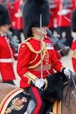 Trooping the Colour 2010: Lt Col C R V Walker, Grenadier Guards, Field Officer in Brigade Waiting and in command of the parade..
Horse Guards Parade, Westminster,
London SW1,
Greater London,
United Kingdom,
on 12 June 2010 at 11:35, image #138