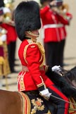 Trooping the Colour 2010: Lt Col C R V Walker, Grenadier Guards, Field Officer in Brigade Waiting and in command of the parade..
Horse Guards Parade, Westminster,
London SW1,
Greater London,
United Kingdom,
on 12 June 2010 at 11:37, image #141