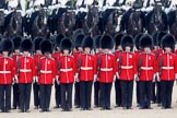 Trooping the Colour 2010: HJoergens41_100612_G6C7509.CR2.
Horse Guards Parade, Westminster,
London SW1,
Greater London,
United Kingdom,
on 12 June 2010 at 11:51, image #159