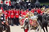 Trooping the Colour 2010: HJoergens41_100612_G6C7562.CR2.
Horse Guards Parade, Westminster,
London SW1,
Greater London,
United Kingdom,
on 12 June 2010 at 11:54, image #165