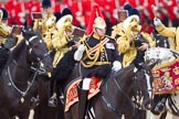 Trooping the Colour 2010: HJoergens41_100612_G6C7637.CR2.
Horse Guards Parade, Westminster,
London SW1,
Greater London,
United Kingdom,
on 12 June 2010 at 11:59, image #180