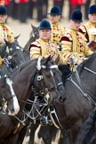 Trooping the Colour 2010: HJoergens41_100612_G6C7671.CR2.
Horse Guards Parade, Westminster,
London SW1,
Greater London,
United Kingdom,
on 12 June 2010 at 12:01, image #185