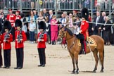 Trooping the Colour 2010: ToDo!.
Horse Guards Parade, Westminster,
London SW1,
Greater London,
United Kingdom,
on 12 June 2010 at 12:02, image #187