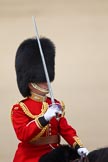 Trooping the Colour 2010: Lt Col C R V Walker, Grenadier Guards, Field Officer in Brigade Waiting and in command of the parade..
Horse Guards Parade, Westminster,
London SW1,
Greater London,
United Kingdom,
on 12 June 2010 at 12:08, image #189